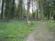 2008-04-20-CraonnePM50.jpg