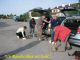 2008-05-04-Rambouillet-AM02.jpg