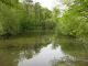2008-05-04-Rambouillet-AM44.jpg