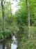 2008-05-04-Rambouillet-AM46.jpg