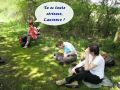 2008-05-04-Rambouillet-M07.jpg