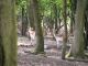 2008-05-04-Rambouillet-PM02.jpg