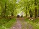 2008-05-04-Rambouillet-PM06.jpg