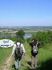 2008-05-11-Pont-audemerAM084.jpg