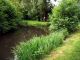 2008-05-25-Ormoy-AM024.jpg