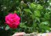 2008-05-25-Ormoy-PM023.jpg