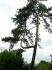 2008-06-29-Juvisy-M09.jpg