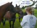 2008-09-07-Chilleurs-087.jpg