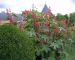 2008-09-07-Chilleurs-R19.jpg