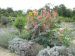 2008-09-07-Chilleurs-R22.jpg