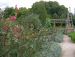 2008-09-07-Chilleurs-R26.jpg
