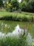2008-09-07-Chilleurs-R66.jpg