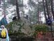 2008-12-14-Cassepot-AM53.jpg