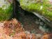 2008-12-14-Cassepot-PM08.jpg