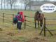 2009-03-08-Echou-AM79.jpg