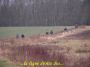 2009-03-08-Echou-PM22.jpg